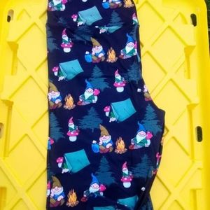 Camping gnomes tc capri